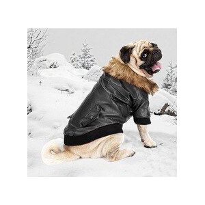 Hond Kleren Hond Lederen Winter Jassen Warm Puppy Jassen Kleding Hoodies Voor Kleine Middelgrote Honden Puppy Outfit S-2XL
