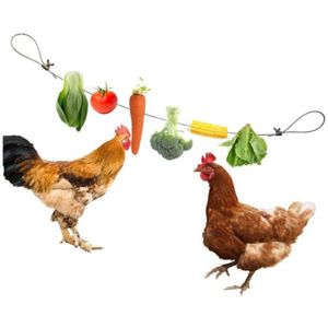 Rvs Vogel Opknoping Voedsel Houder Papegaai Parkiet Fruit Groente Feeder Touw Vlees Spies Foerageren Speelgoed Voor Kip