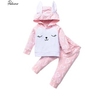 Baby Lente Herfst Kleding 2 Stuks Pasgeboren Baby Meisje 3D Bunny Oor Hooded Lange Mouwen Top Shirt Lange Broek kleding Outfit