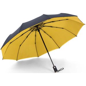 Draagbare automatische dubbele paraplu 10 bot paraplu hoge dichtheid winddicht goud handvat 30% mannen business paraplu