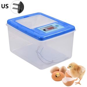 MUYIRTED Broedmachine, volautomatisch, 12 eieren, incubator, kippen, broedmachine, klein, incubatoren voor gevogelte eieren met led-temperatuurweergave, broedkast voor kwartels vogel MUYIRTED Broedmachine, volautomatisch, 12 eieren, incubator, kippen, broedmachine, klein, incubatoren voor gevogelte eieren met led-temperatuurweergave, broedkast voor kwartels vogel