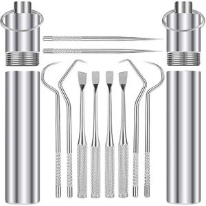 5 Stuk Set Van 2 Stuk Draagbare Pocket Rvs Tandenstokers, geschikt Voor Outdoor Kamperen En Picknick Trips