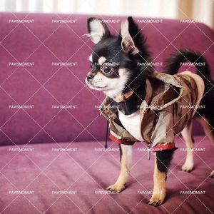 Mode Borduren Hond Kleding Voor Kleine Honden Huisdieren Kleding Franse Bulldog Pug Kostuum Puppy Jacket PC1310