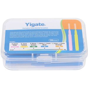 30 Stuks Tandenstokers Rager Tandenstokers Picks Borstel Picks Reiniging Borstels