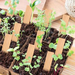 50 Stuks Bamboe Plant Labels Milieuvriendelijke Houten Plant Teken Tags Tuin Markers Voor Zaad Gepot Kruiden Bloemen Gereedschap Csv