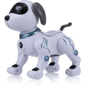 Le Neng Speelgoed K16A Elektronische Dier Huisdieren Rc Robot Hond Voice Afstandsbediening Speelgoed Muziek Lied Speelgoed Voor Kinderen Rc speelgoed