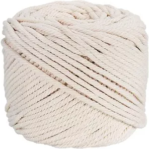Macramégaren Set – 18 Kleuren – 3 Mm X 100 M – Katoen – Perfect Voor Wandkleden, Dromenvangers, Kerstdecoratie En Meer
