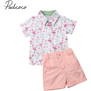 Baby Zomer Kleding Peuter Kids Baby Boy Flamingo Shirt Tops + Korte Bodems Formele Party 2 STUKS Sets Outfit kleding 1-5Y