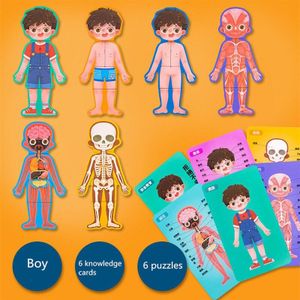 Houten Puzzels Body Structuur Cognitieve Puzzel Educatief Speelgoed Voor Kinderen Interactief Speelgoed Biologische Menselijk Lichaam Matching Game
