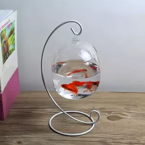 Een Vissenkom Schoonmaken En Waarom U Die Beter Door Een  Klein Aquarium Kunt Vervangen