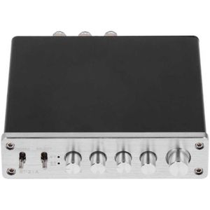 Digitale Versterker 100W DC12V-24V Aluminium Hi-Fi Stereo Audio High Power Amp Voor Thuis Speakers Grote Warmteafvoer
