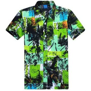 mannen Hawaiiaanse Strand Board Shirt Zomer Korte Mouwen Gedrukt Losse Sport Shirts Sneldrogende Badpak Plus Size L-4XL