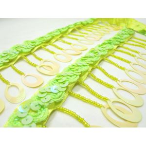 2 9/16 Inch Green Shiny Glittery Lovertjes Kralen Franjes | Lovertjes Gevlochten Seed Bead Trim | Handgemaakte Lampenkap Thuis decoratieve