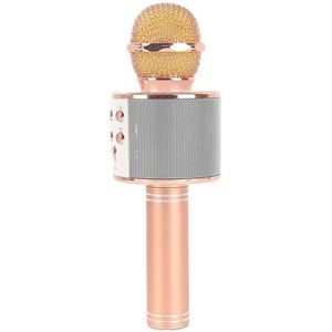 Professionele Bluetooth Draadloze Microfoon Karaoke Speaker Ktv Muziek Speler Zingen Recorder Handheld Microfoon Mic 1800Mah