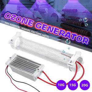AC220V 10G/15G/20G Auto Luchtzuivering Air Cleaner Deodorizer Diy Silica Buis Ozon Generator ozonizer Buis Pijp