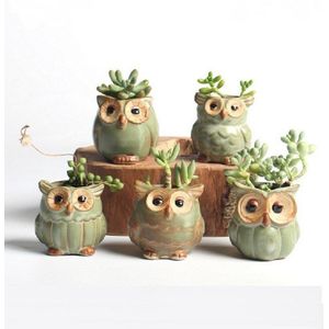 5 Stks/partij Uil Bloem Plant Potten Dier Planter Creatieve Keramische Klassieke Pot Voor Vlezige Vetplant Huis Tuin Decoratie