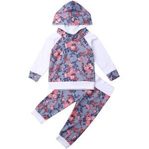 Herfst Winter Kleding Pasgeboren Baby Baby Meisje Kleding Bloemen Kap Top Sweatshirt Broek Herfst Outfit Set 0-214 maanden