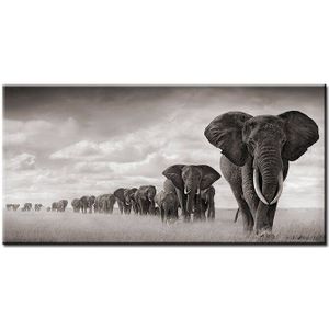 Zwart Afrika Olifanten Wilde Dieren Canvas Schilderij Scandinavië Posters En Prints Cuadros Wall Art Pictures Voor Woonkamer