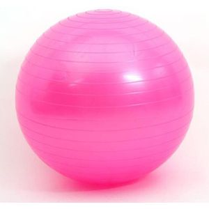 Sport Yoga Ballen Pilates Fitness Bal Gym Balans Oefening Pilates Workout Massage Bal