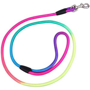 Huisdier Accessoires Outdoor Wandelen Halsbanden Kleurrijke Regenboog Kleur Weave Nylon Riem Hond Trekkabel Leads Training Riemen