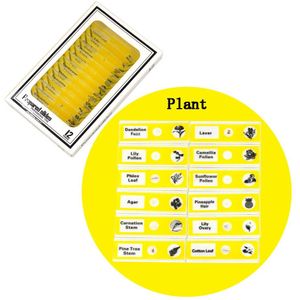 Chanseon 12 stks/set Plastic Microscope Slides Biologische Specimen voor Kinderen Student Microscoop Enlighten Onderwijs