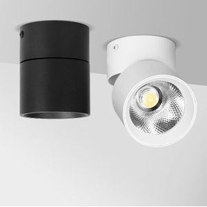 220V Led Spot Light Plafond Cob 10W Led Spots Opbouw Plafond Lampen Spot Verlichting Voor Woonkamer home Verlichting
