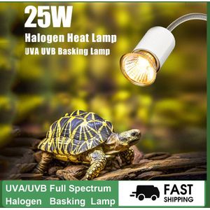 25W Halogeen Warmte Lamp Uva Uvb Koesteren Lamp Heater Gloeilamp Voor Reptielen Hagedis Schildpad Schildpad Aquarium Habitat verlichting