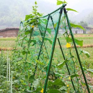 Tuin Groente Plant Nylon Netto Bloemen Meloen Klimmen Groeien Hek voor Groente Klimmen Wijnstok Planten Tuin