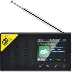 Auto MP3 Bluetooth 5.0 Handheld Alarm Instelling Muziekspeler Mini Draagbare Dab Digitale Radio Fm Ontvanger Oplaadbare Kleur Screen