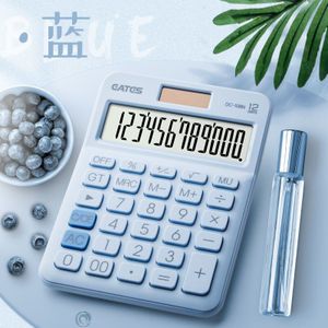 12 Digit Bureau Solarcalculator Grote Knoppen Financiële Business Accounting Tool Grote Knoppen Avocado Groen Voor School Student