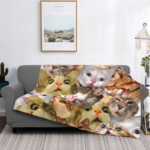 Kat Dekens Fleece Print Leuke Grappige Slimme Multifunctionele Super Warm Worp Deken Voor Bed Reizen Quilt