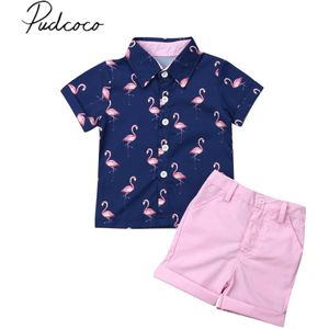Kinderen Zomer Kleding 2 Stuks Set Peuter Kid Baby Boy Flamingo Tops T-shirt + Shorts Broek Outfits Korte Mouw kleding 1-6T