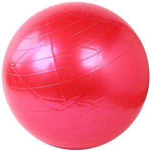 55cm Sport Yoga Bal Punt Fitness Gym Balance Ball Gym Fit bal Oefening Pilates Oefening Glossy Massage Bal f3