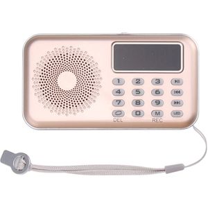 Digitale Fm Radio Micro Sd/Tf Usb Disk Mp3 Radio Lcd-scherm Internet Radio Met Luidspreker