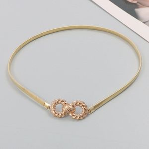 Metal Silver Gold Stretch Taille Ketting Met Decoratieve Rok Jeans Mode Riem Voor Vrouwen Corset Riem Party