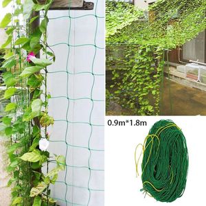 Tuin Planten Klimmen Netto Morning Glory Bloem Wijnstok Netting Ondersteuning Netto Groeien Houder Tuin Accessoires