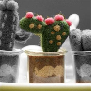 Diy Custom Little Cactus Wolvilt Craft Non Afgewerkt Prikte Set Handwerk Kit Voor Naald Materiaal Tas Met Video 'S