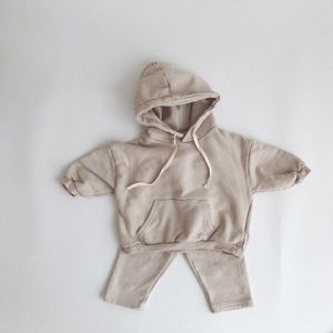 Baby Herfst Baby Kleding Sets Jongens Hooded Sweatshirt Lange Mouw Tops Meisjes Harembroek Pak Kids Comfortabele Outfits