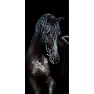 Abstracte Zwart Paard Beeld Muurschilderingen Muurstickers Deur Sticker Behang Decals Woondecoratie Aug02708