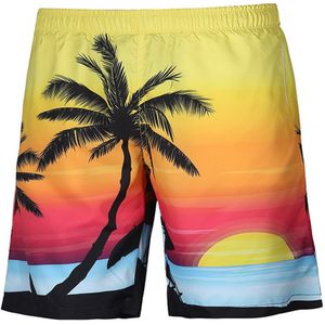 Mannen Zomer Casual Plus Size Tropic Hawaii Palm 3D Gedrukt Strand Shorts Broek zwemmen top voor mannen badpak