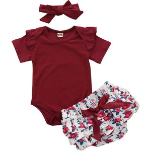 0-24M Pasgeboren Baby Meisjes Kleding Sets Bloemenprint Ruffle Tops Romper Tutu Shorts Broek 3 Pcs Outfits kleding