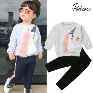 Lente Herfst Jongens Meisjes Kleding Sets Kinderen Sport Pak Kinderen Trainingspak Meisjes Sweatshirt Broek Baby Top Cartoon Casual Kleding