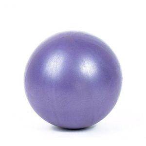 Oefening Gymnastiek Bodybuilding Fitness Bal Training Rubber Crossfit Pilates Balance Oefening Gym Yoga Reactie Bal 25 cm