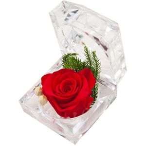 Eeuwige Rose Ring Box Valentijnsdag Romantische Eeuwige Leven Bloem Moeder Dag Aanwezig