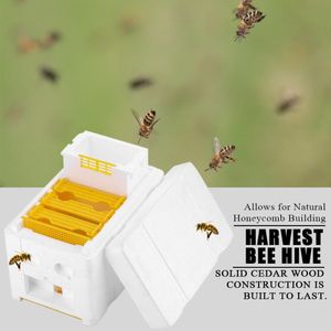 Bijenteelt Gereedschappen, Schuim Bijenkorf, Bee Paring Doos, Bee Koning Doos, Bestuiving Box Set.