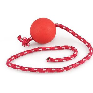 Huisdier Gebitsreiniging Chew Rode Ballen Potige Rubber Veilig Niet giftig Hond Speelgoed Elastische Bal