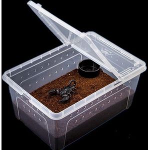 Lanlan Transparant Voerbox Reptiel Doos Amfibie Voor Snake Kooi Lizard Spider Reptiel Combinatie