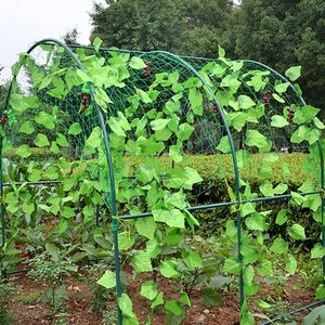 4 Maten Duurzaam Nylon Wijnstok Klimmen Planten Netto Ondersteuning Tuin Mesh Hek Tuin Netting Plant Trellis