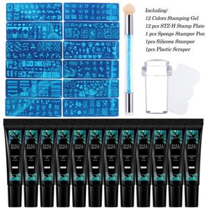 Nail Stempelen Platen Set Stempel Gel Spons Borstel Poolse Transfer Stencil Blad Bloem Dreamcatcher Sneeuwvlok Geometrie Tool SA1813