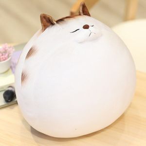 30/50 Cm Leuke Vet 3D Katten Knuffels Knuffeldier Duplex Gedrukt Katten Pop Zacht Kussen Zitkussen cadeau Voor Kinderen Meisjes Baby